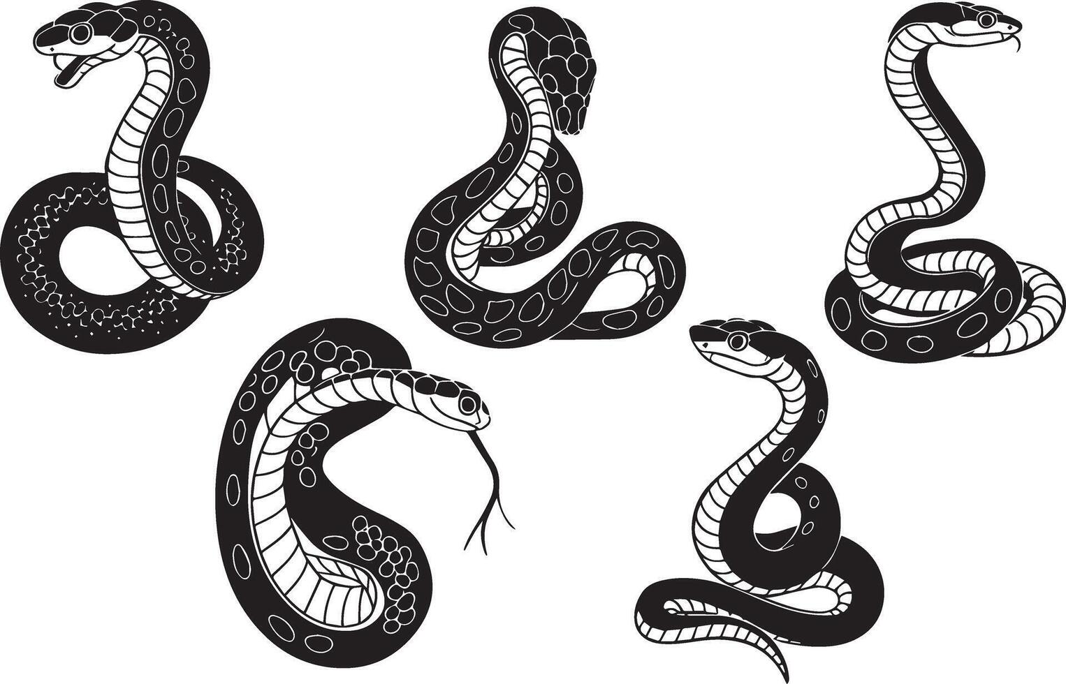 Set Of Cobra Snake vector