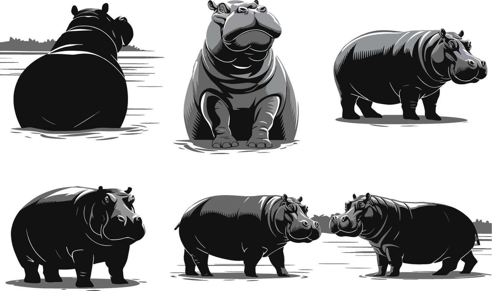 Hippos in different poses vector