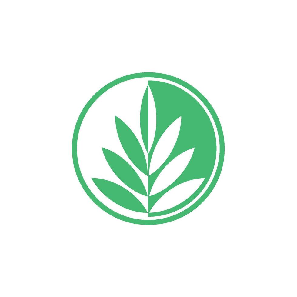 Decorative Green Leaves Circle Emblem Logo vector