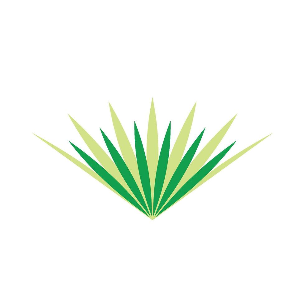 Abstract Green Palm Leaves Decorative Logo Template vector