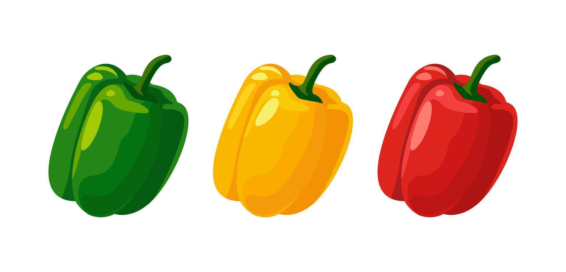 Sweet pepper in three kinds, red, yellow and green fresh pepper illustration of ripe vegetables on white background vector