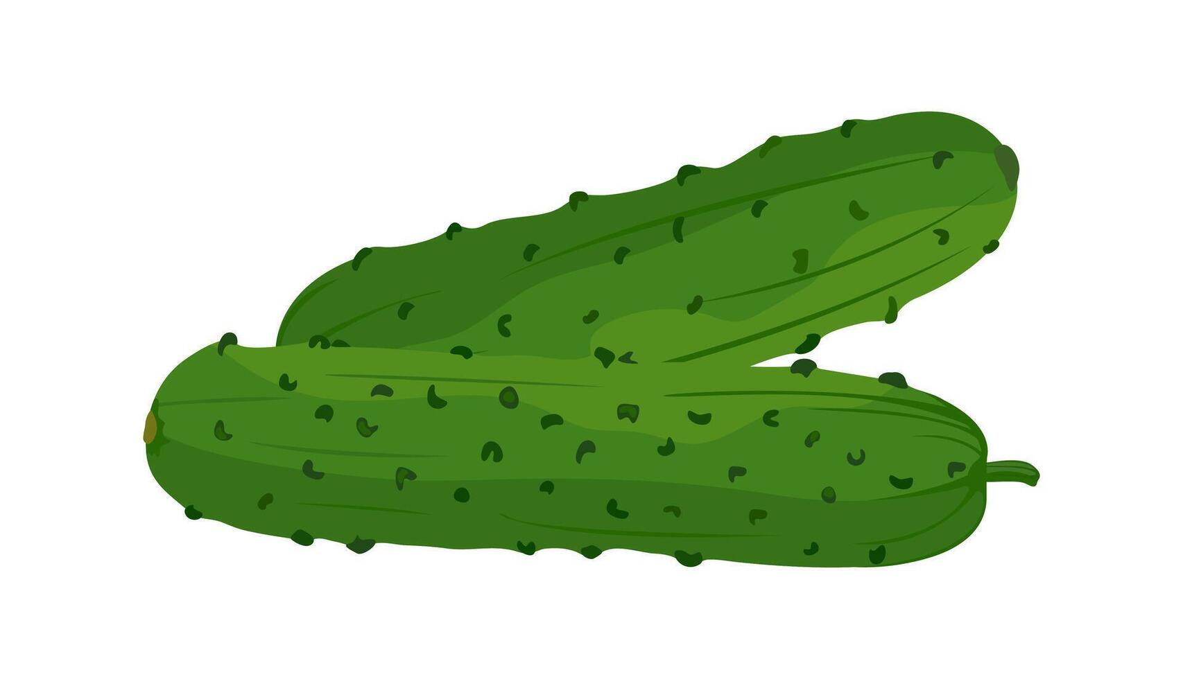 Cucumber icon. Fresh green cucumbers, vitamin vegetable. illustration of healthy food on white background. vector