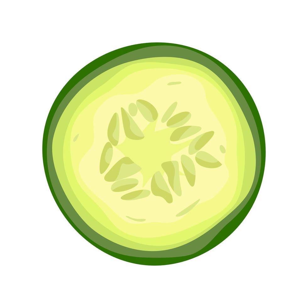 Fresh cucumber round cross section slice with seeds Green healthy vegetable. illustration isolated on white background vector