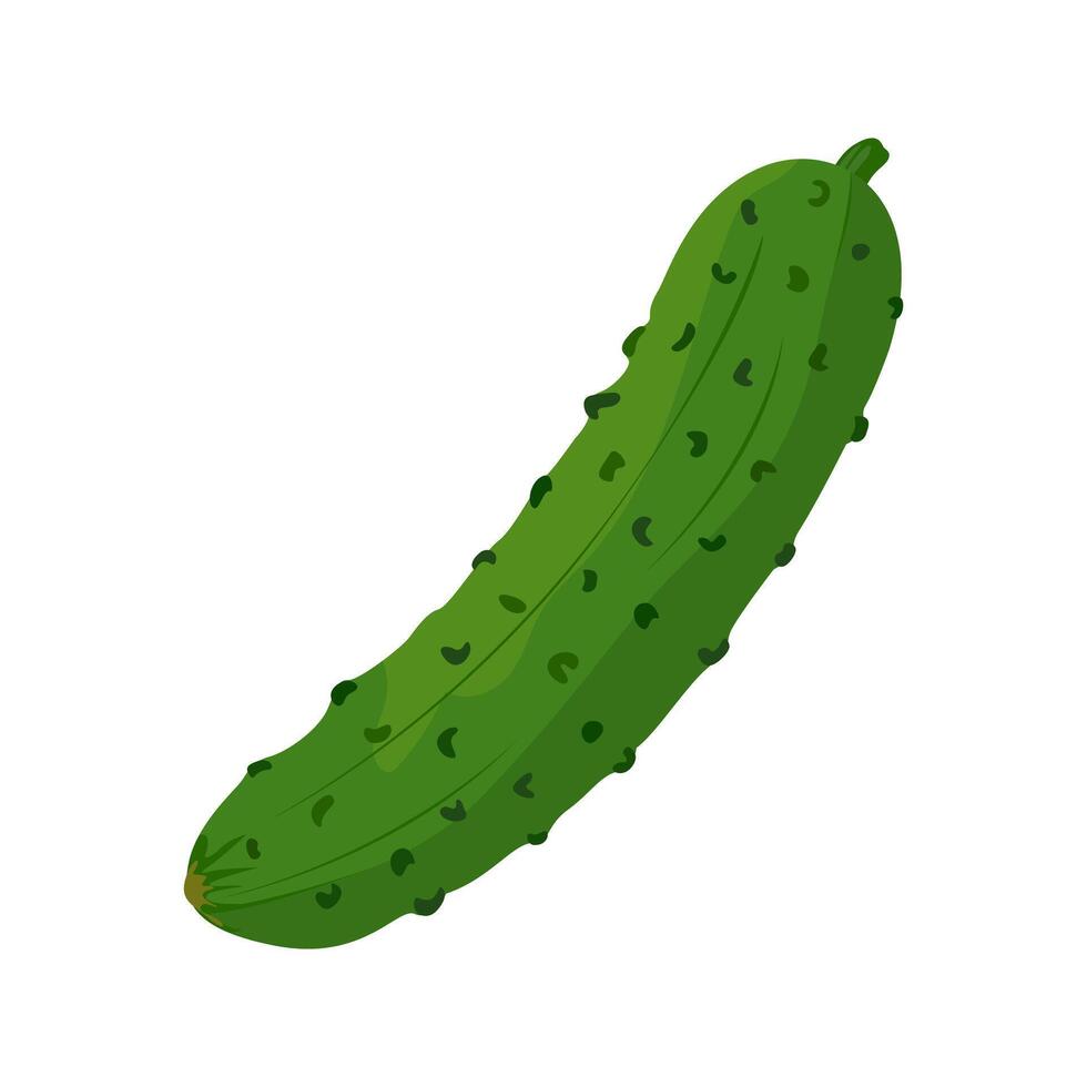 Cucumber icon. Fresh green cucumber, vegetable. illustration of healthy food on white background. vector