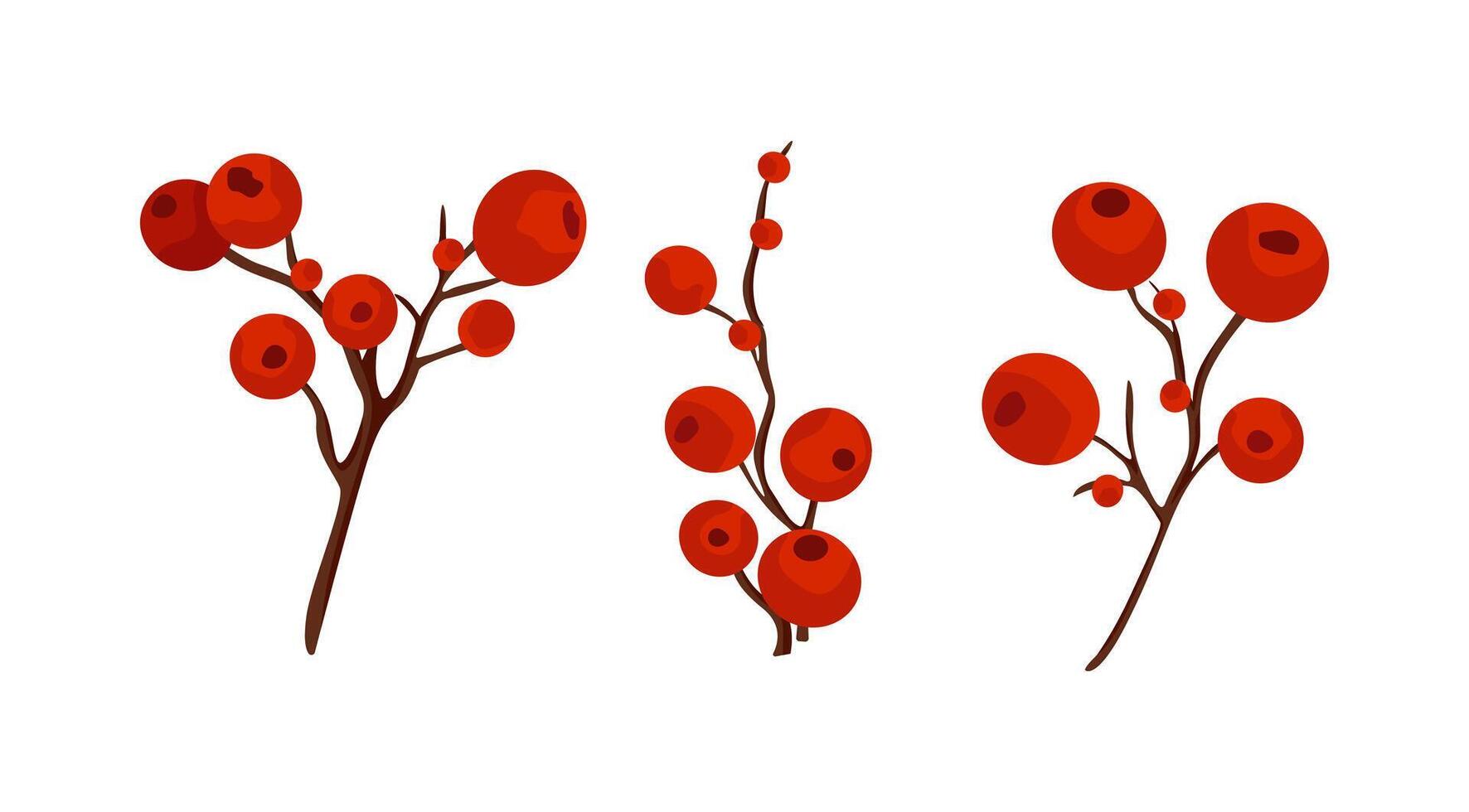 illustration of twigs with red forest berries vector