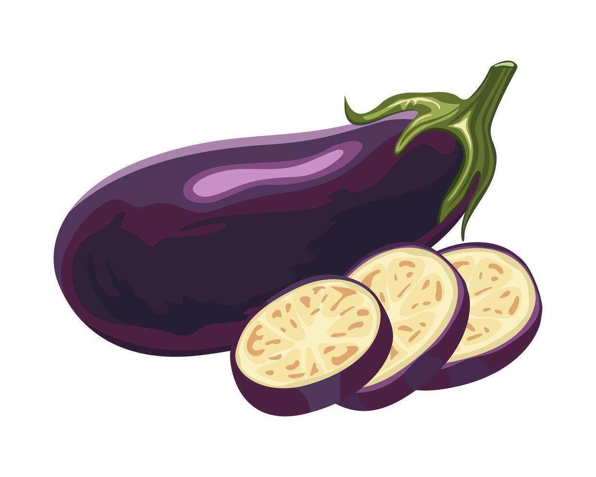 Eggplant on white background. Whole fresh aubergine fruit and slices. illustration of ripe vegetable for salad. Farm vegetable vector