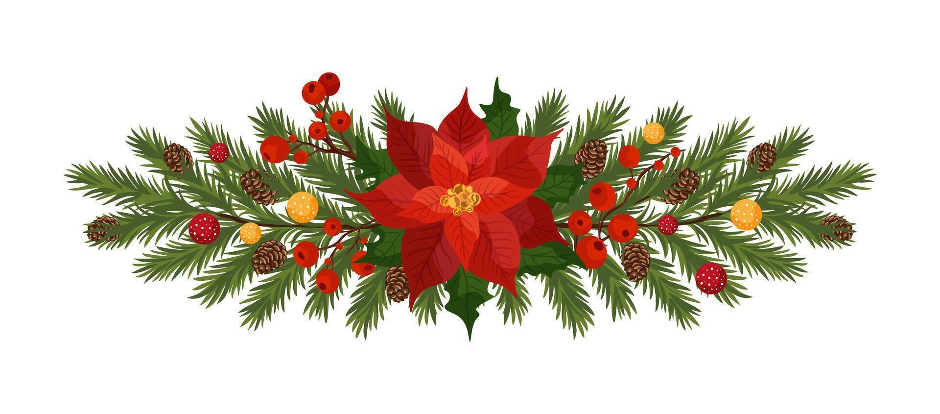 Christmas decoration with poinsettia, fir branches, pine cones, berries Christmas design for festive decoration. illustration on white background vector