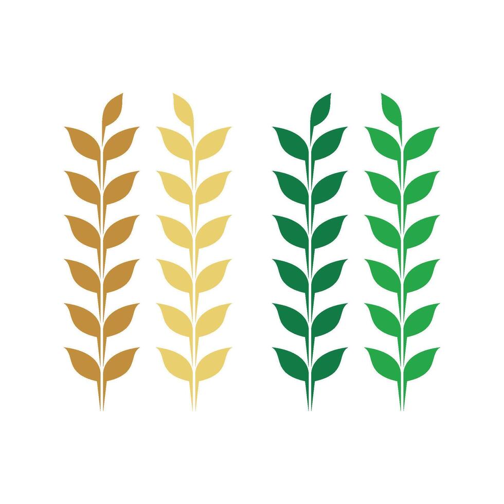 Set Colorful Wheat Leaf Logo Template Illustration Design. EPS 10. vector