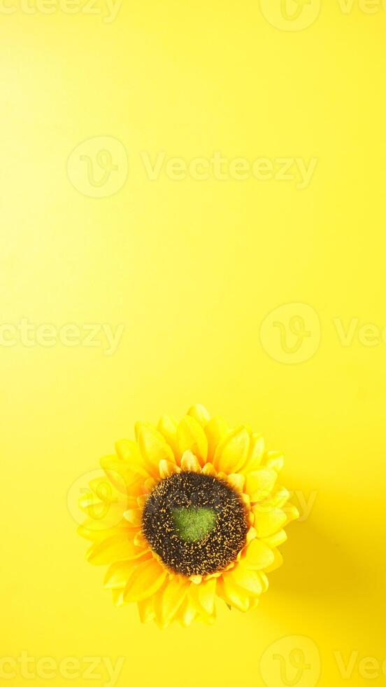 Top view of beautiful artificial or fake sunflower isolated on yellow background photo