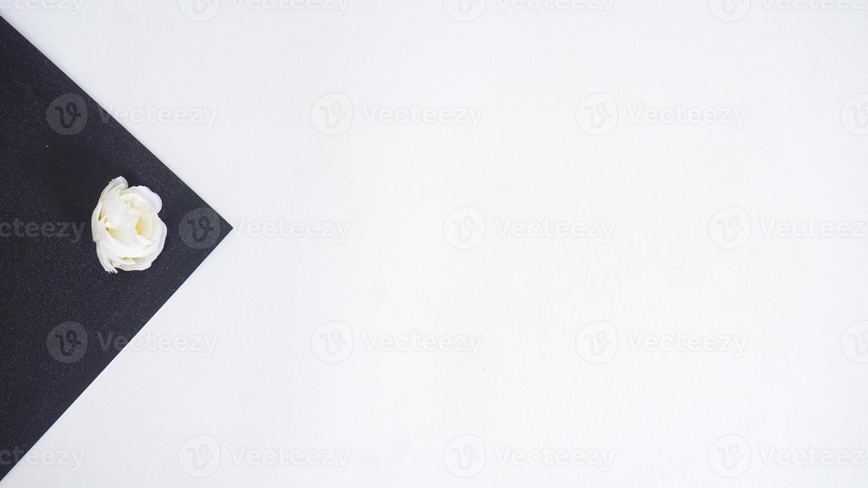 Artificial or fake white rose flower bud on black paper with copy space isolated on white background photo