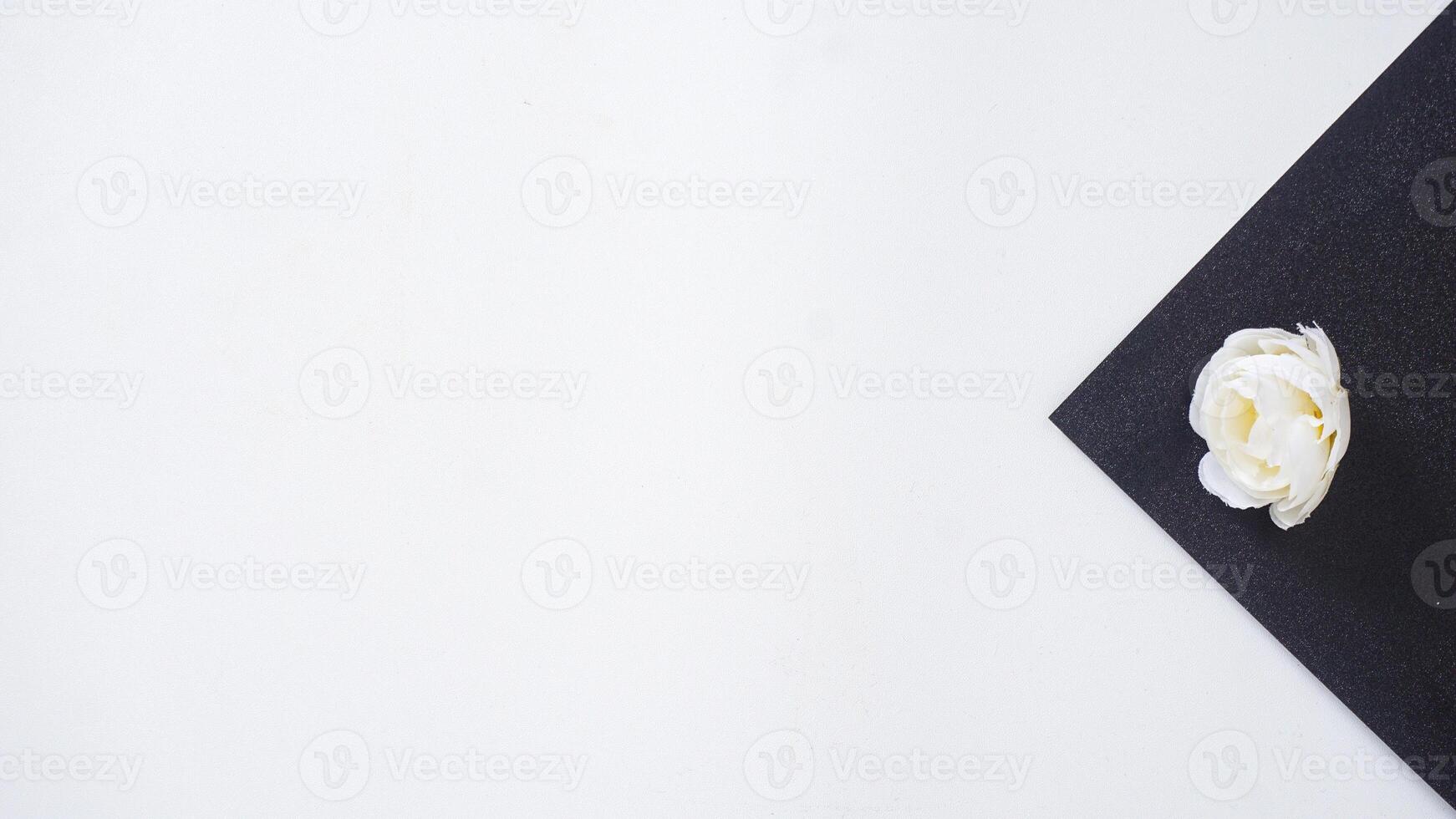 Artificial white rose flower bud on black paper with copy space isolated on white background photo