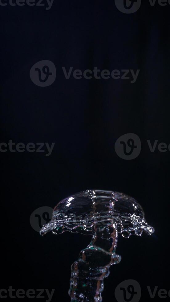 Unique shape of water splashes isolated on black background photo