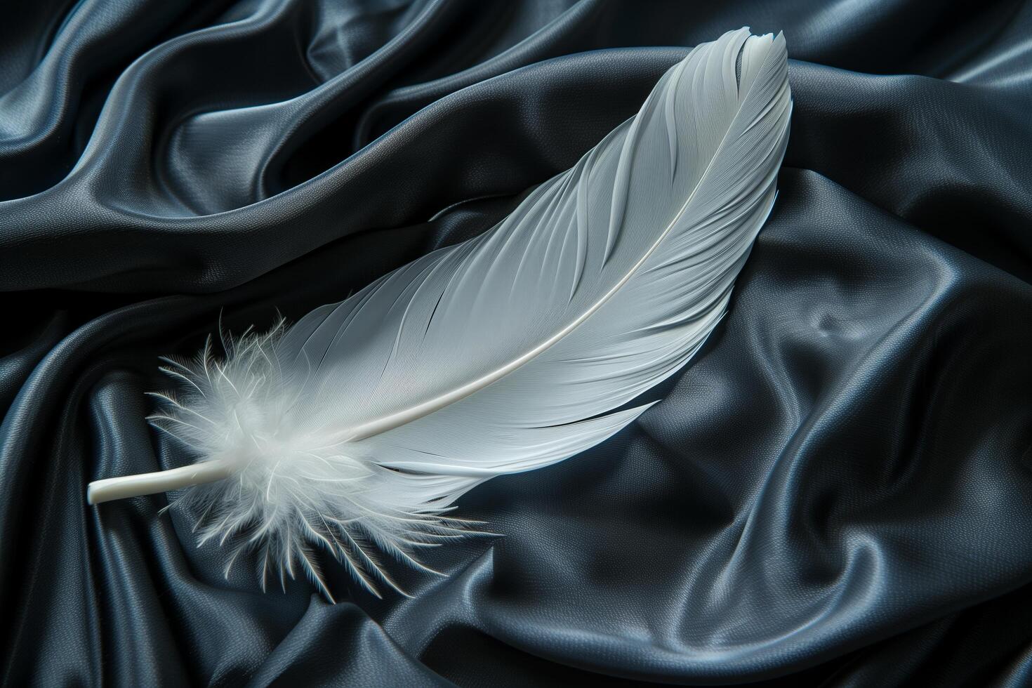 A white feather laying on a black satin cloth photo