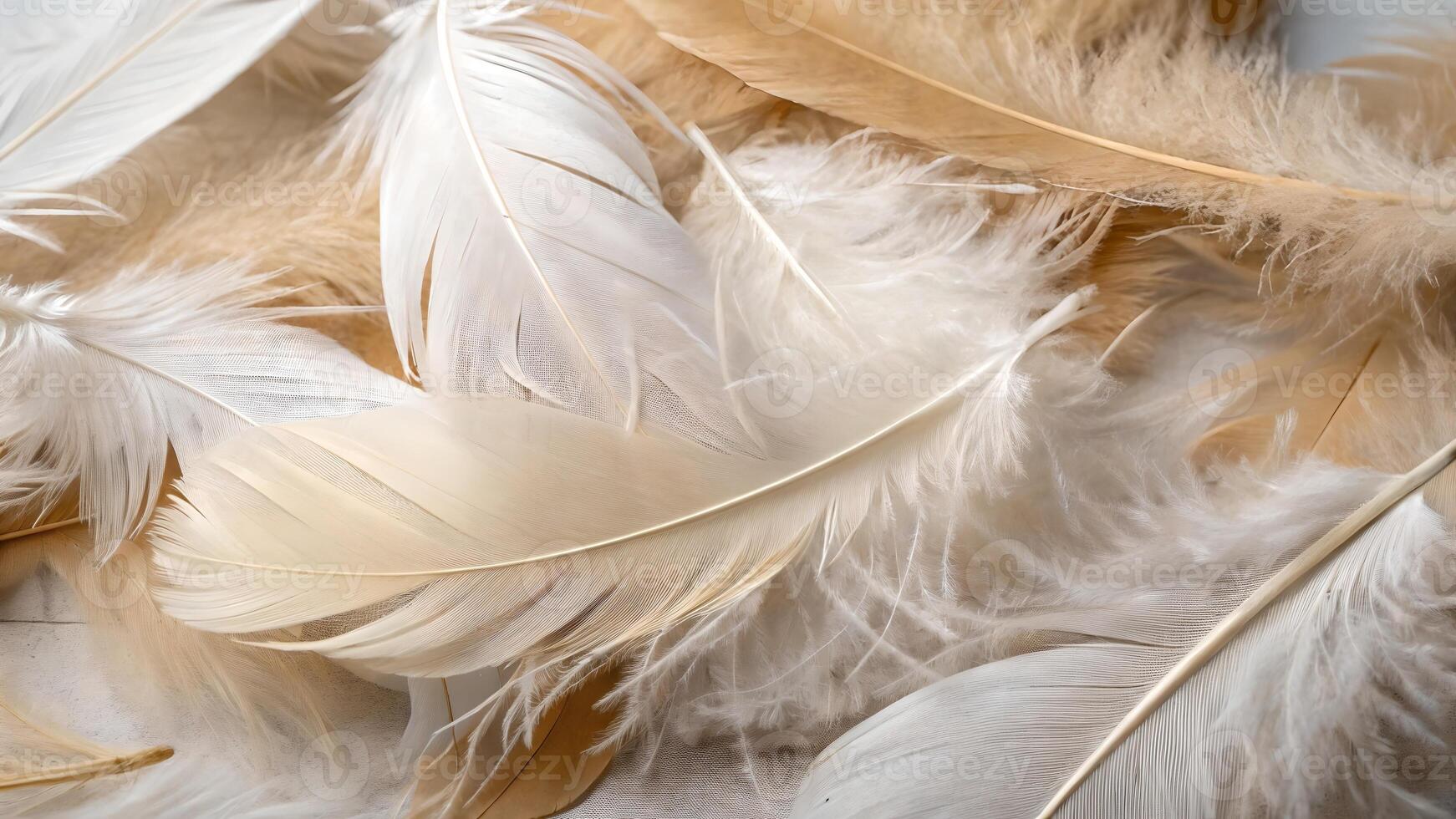 Delicate White Feathers Softly Arranged on Fabric Background for Wedding Decorations and Elegant Event Designers photo