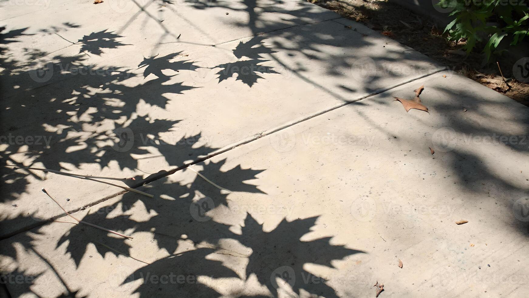 Leaf shadows cast on concrete sidewalk, artistic outdoor scene for nature enthusiasts and photographers photo