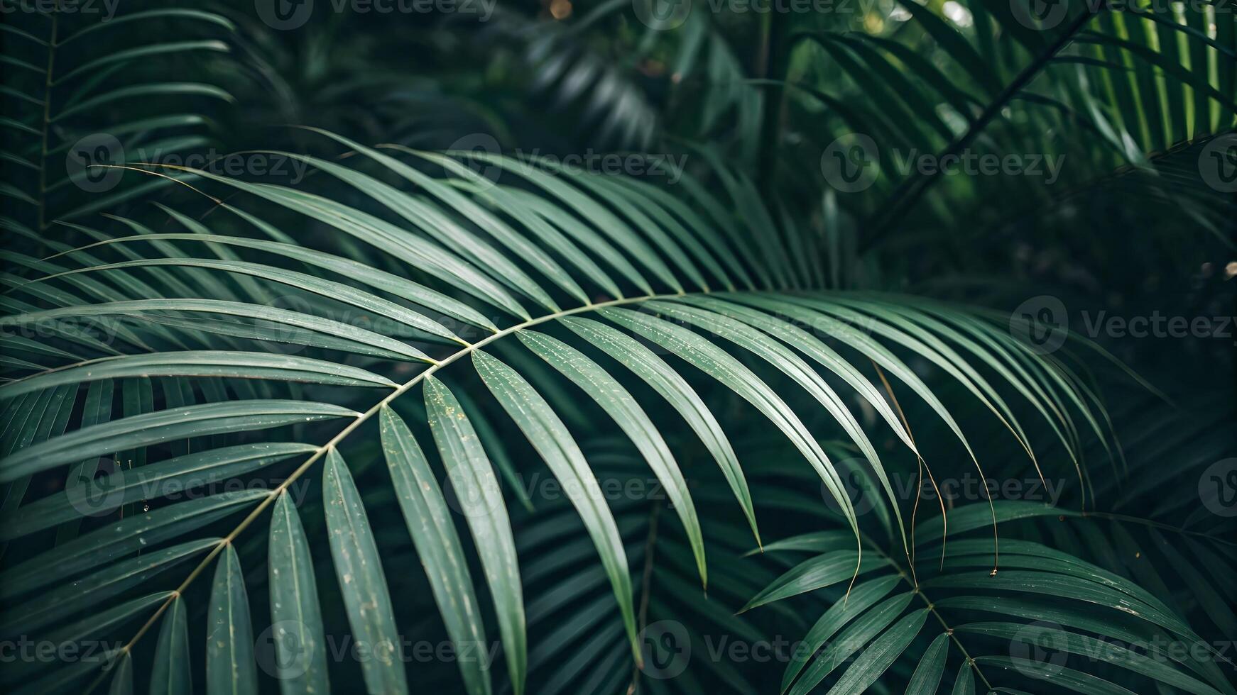Tropical Palm Leaves Vibrant Green Nature Background for Designers and Nature Lovers Seeking High-Quality Botanical Images for Creative Projects photo
