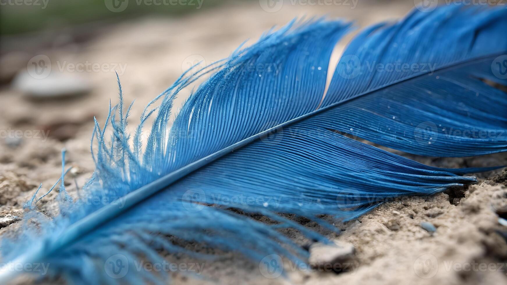 Blue feather resting on rustic wood for nature enthusiasts and photographers seeking serene imagery photo