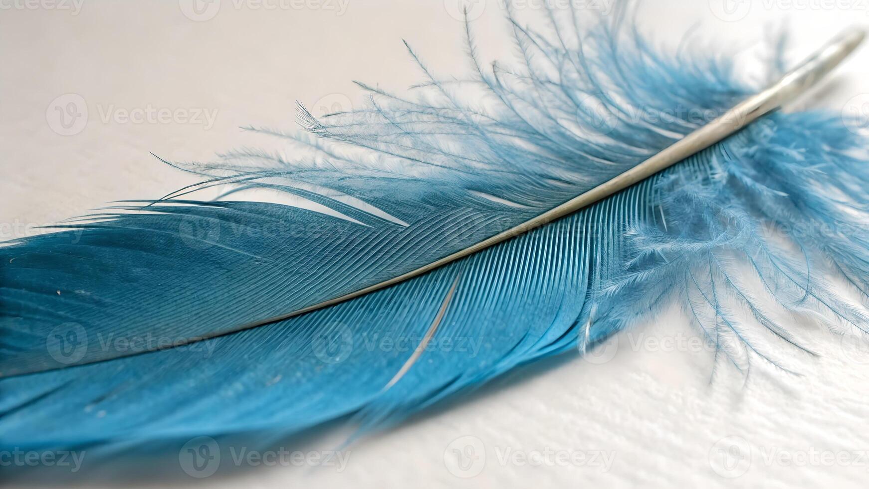 Blue feather close-up on white background for nature enthusiasts and photographers photo