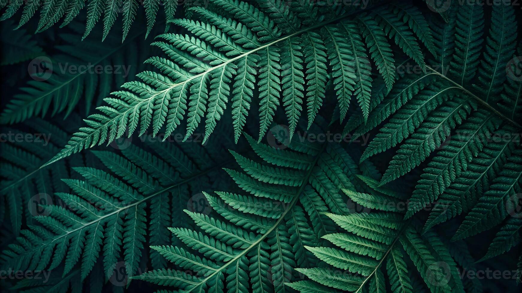 Fern Leaves Detailed Close-Up in Dark Background for Nature Lovers and Designers Seeking Botanical Elements photo