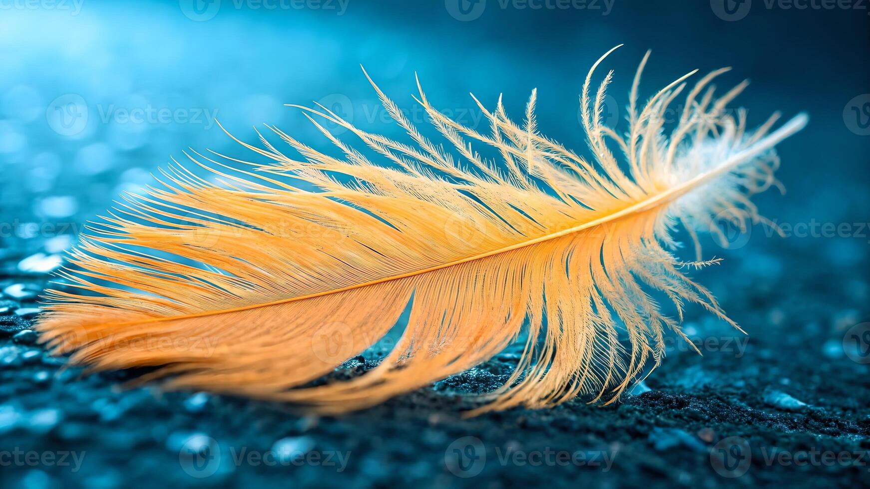 Golden Feather Close-Up on Blue Background for Nature Lovers and Designers Seeking High-Quality Stock Images with Vibrant Colors and Detailed Texture for Creative Projects photo