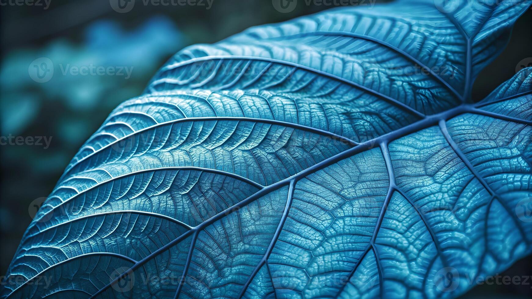 Blue Leaf Detailed Macro Photography for Nature Enthusiasts and Designers Seeking High-Quality Botanical Images with Vibrant Colors and Intricate Patterns for Creative Projects photo