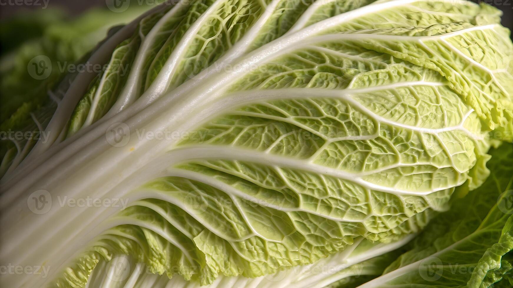 Cabbage Leaf Detailed Close-Up for Food Photography and Culinary Designers, High-Quality Image Perfect for Recipe Websites and Cooking Blogs photo