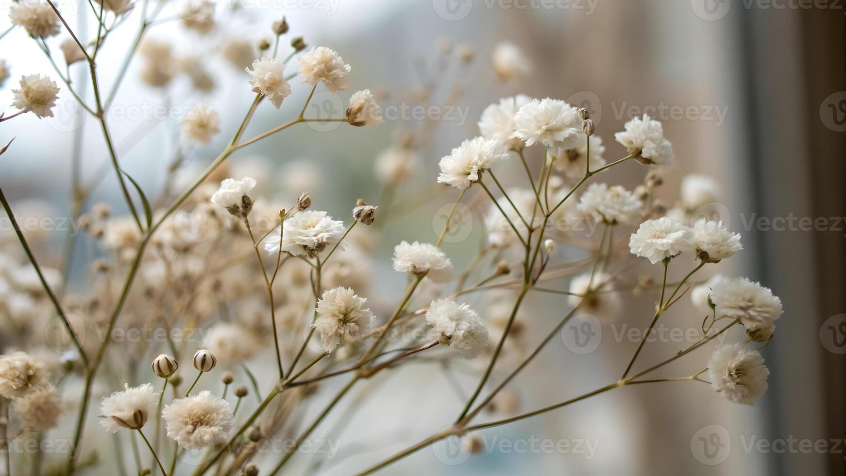Baby's breath delicate flowers by window for wedding decorations and home decor enthusiasts photo