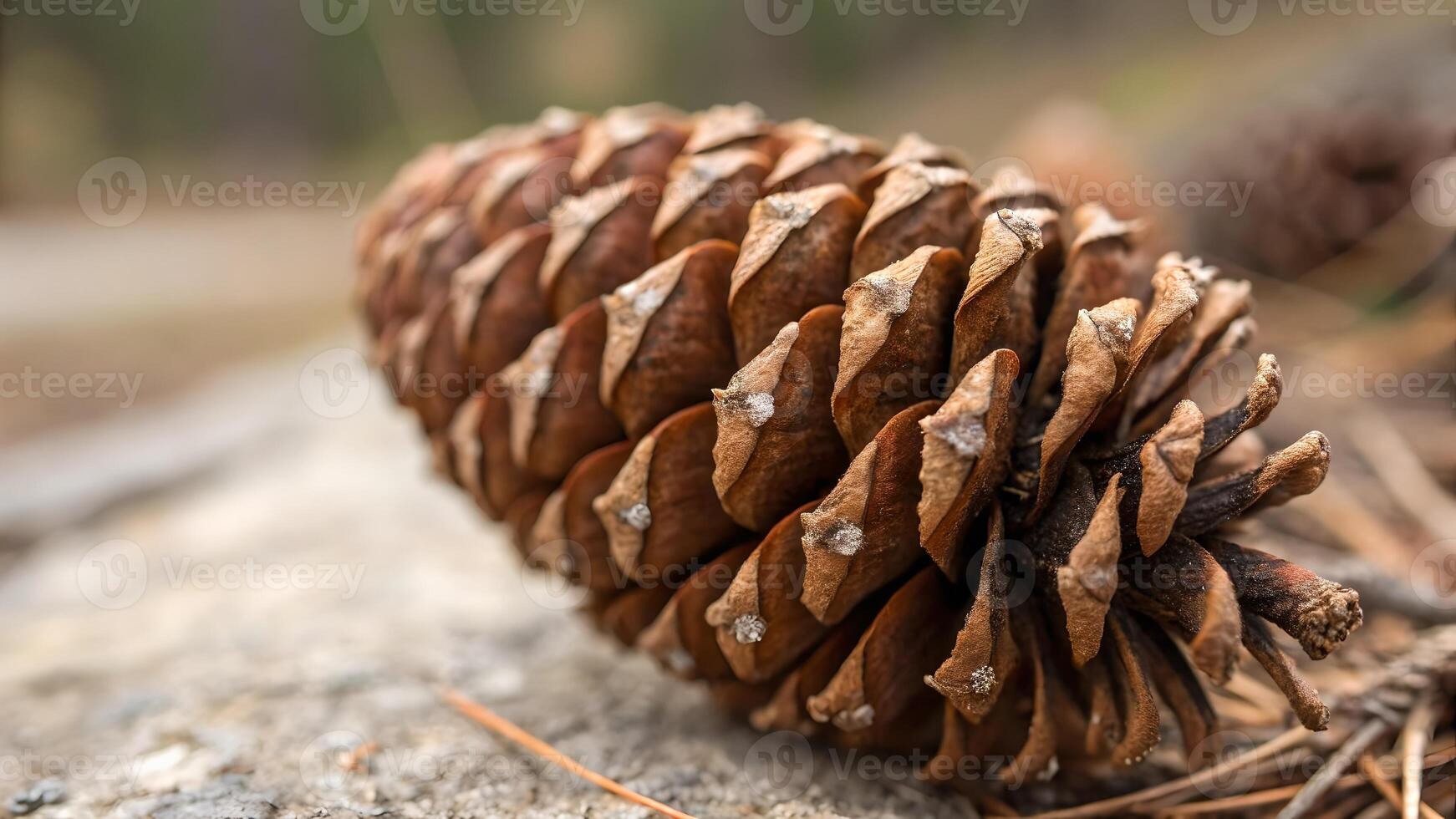 Pinecone Detailed Close-Up in Forest Setting for Nature Enthusiasts and Botanical Studies, Perfect for Educational Content and Natural Beauty Appreciation photo