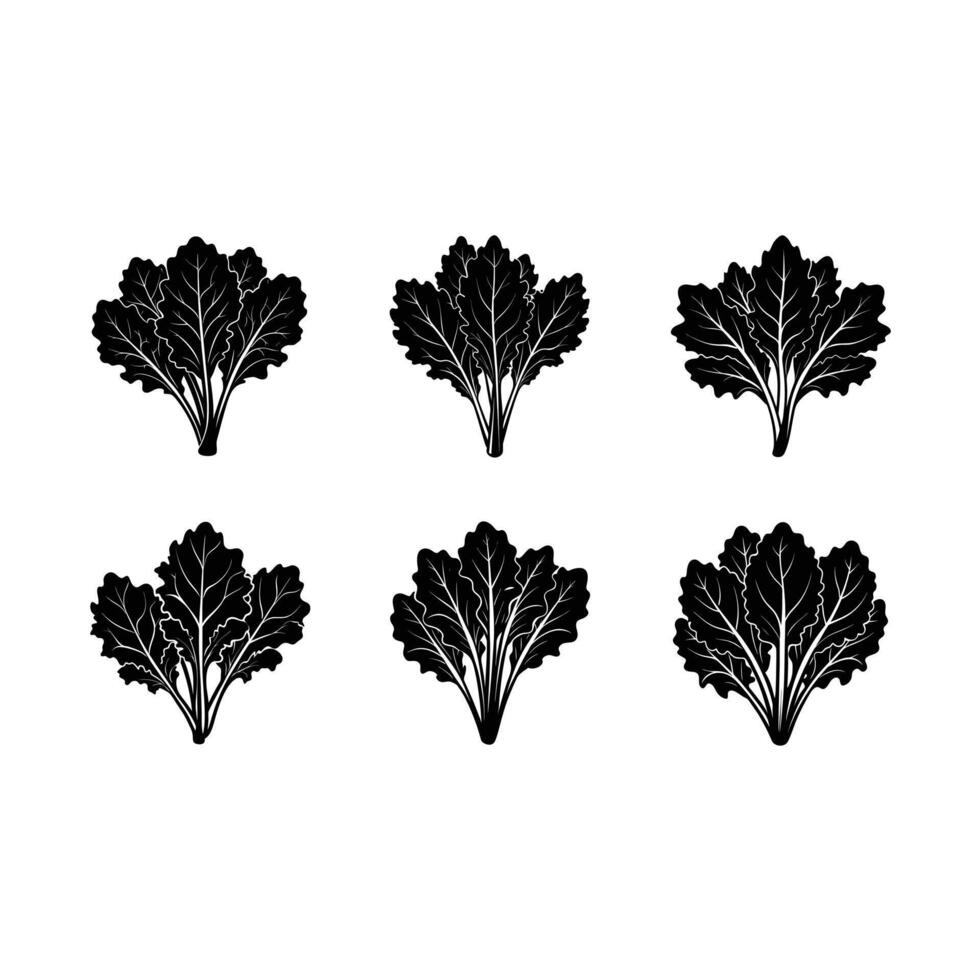 Fresh Mustard Greens High-Quality Leafy Greens Illustration for Digital Use vector