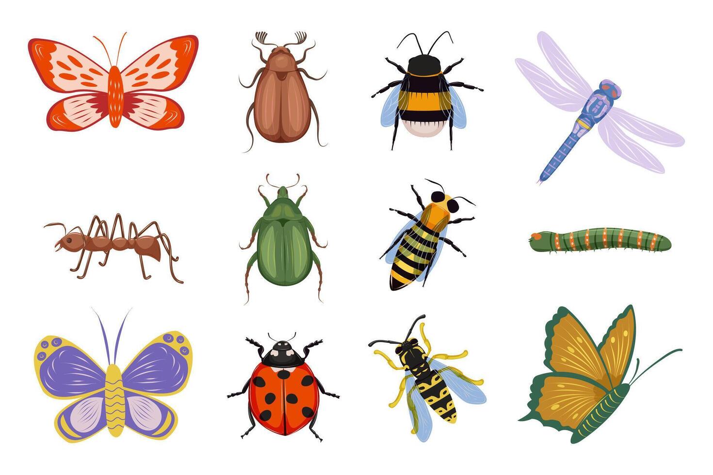 Set of summer meadow and forest insects. Butterfly, dragonfly, ant, ladybug, bee, bumblebee, wasp, caterpillar, green beetle and cockchafer. Top view. Isolated illustration on white background. vector