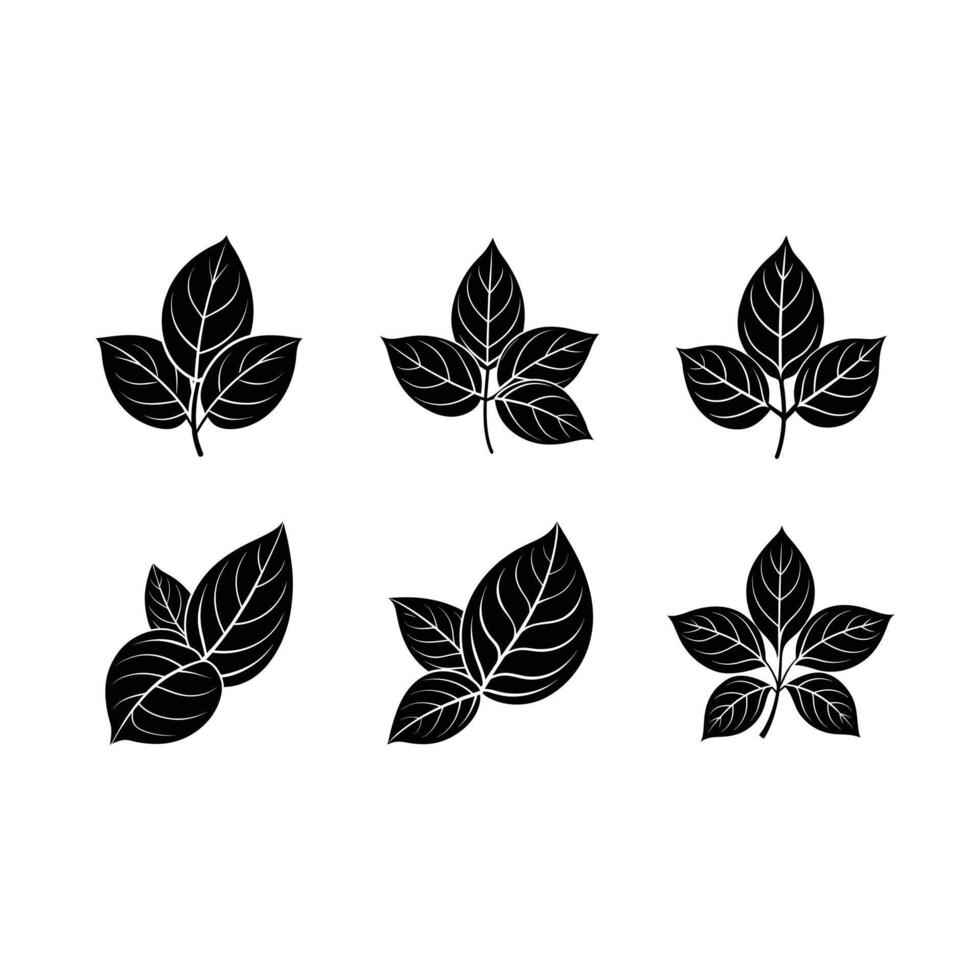 basil leaf icon, perfect for print and digital design projects vector