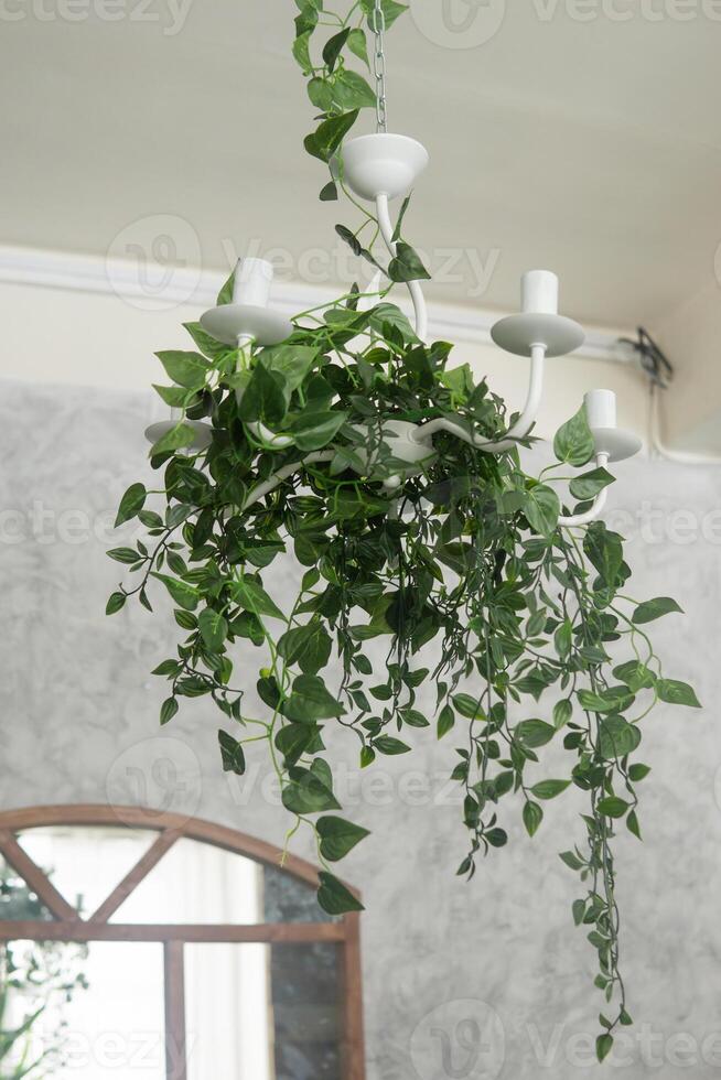 landscaping of the ceiling in a modern interior. A fragment of the interior with a variety of indoor plants. Urban jungle concept. Biophilia design photo