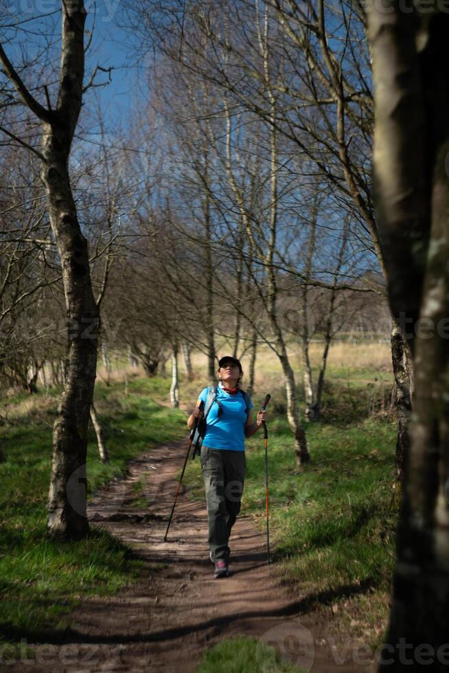 A hiker looks at the trees in her path. photo