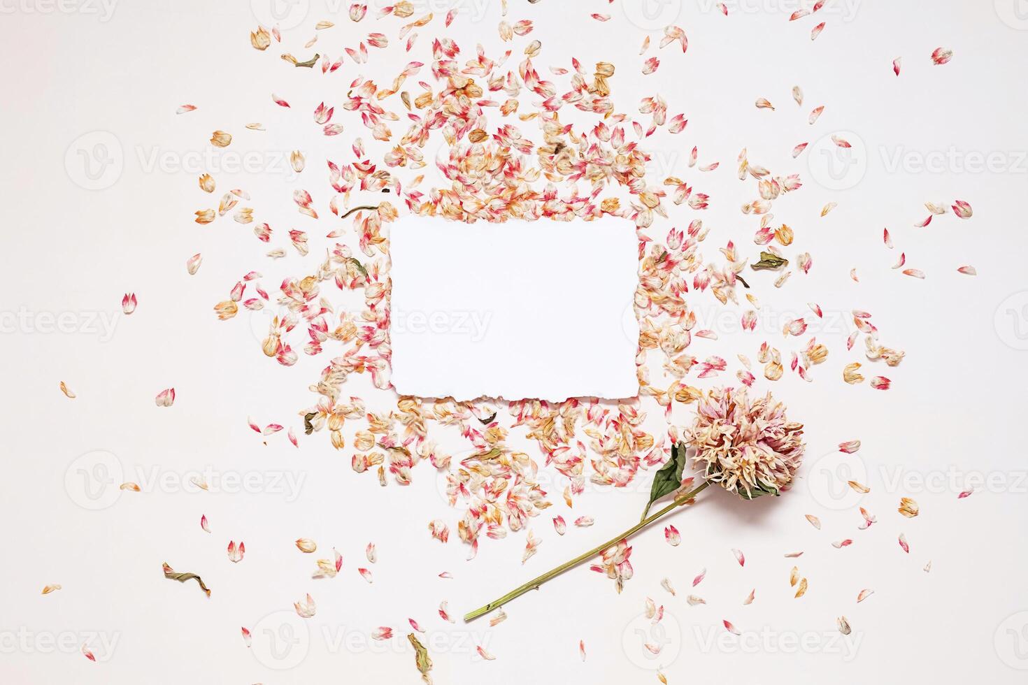 Sheet Of Paper Surrounded Petals and Dried Flower. photo