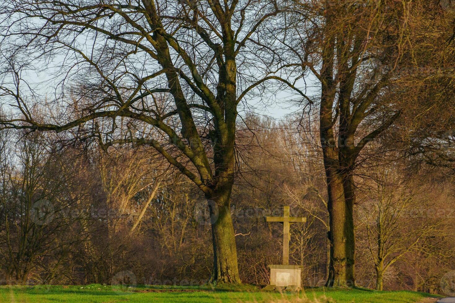 cross and trees photo