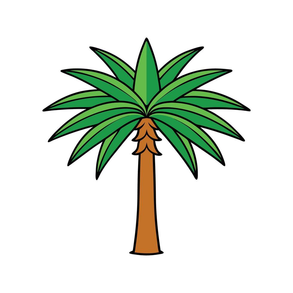 Outline Design of California Fan Palm Tree. Cartoon Art Tree Illustration. vector