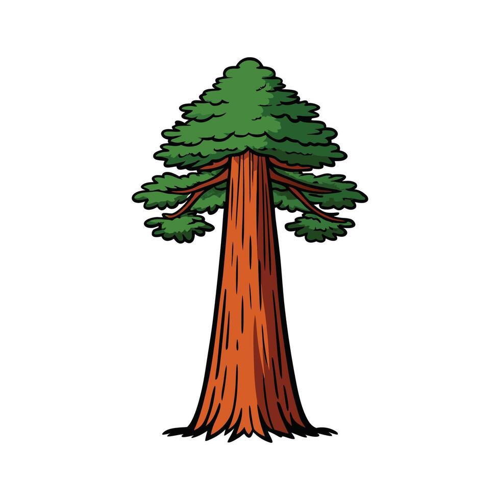 Artistic Outline of Giant Sequoia Tree. Cartoon Art Tree Illustration. vector