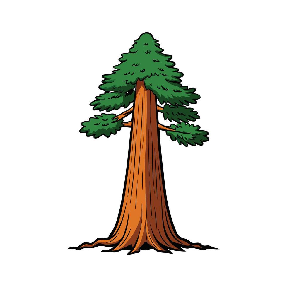 Stylish Giant Sequoia Tree Illustration. Cartoon Art Tree Illustration. vector