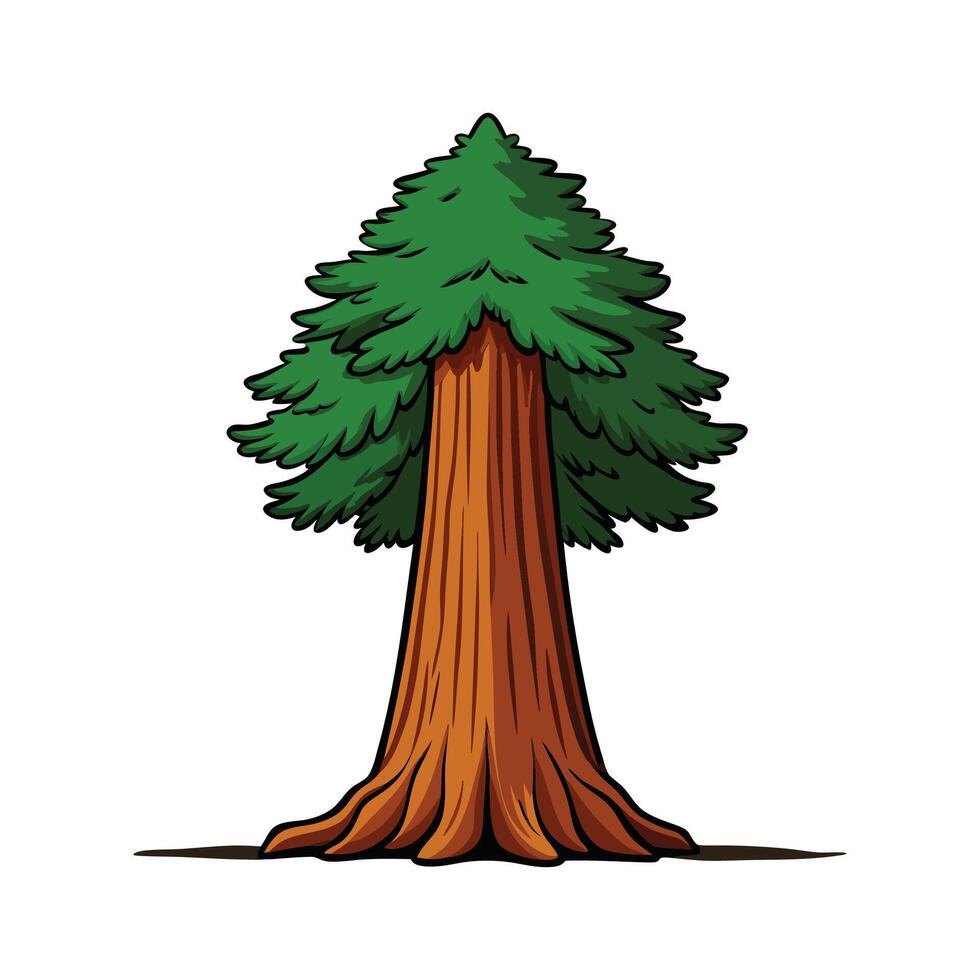 Giant Sequoia Tree Bold Outline Design. Cartoon Art Tree Illustration. vector