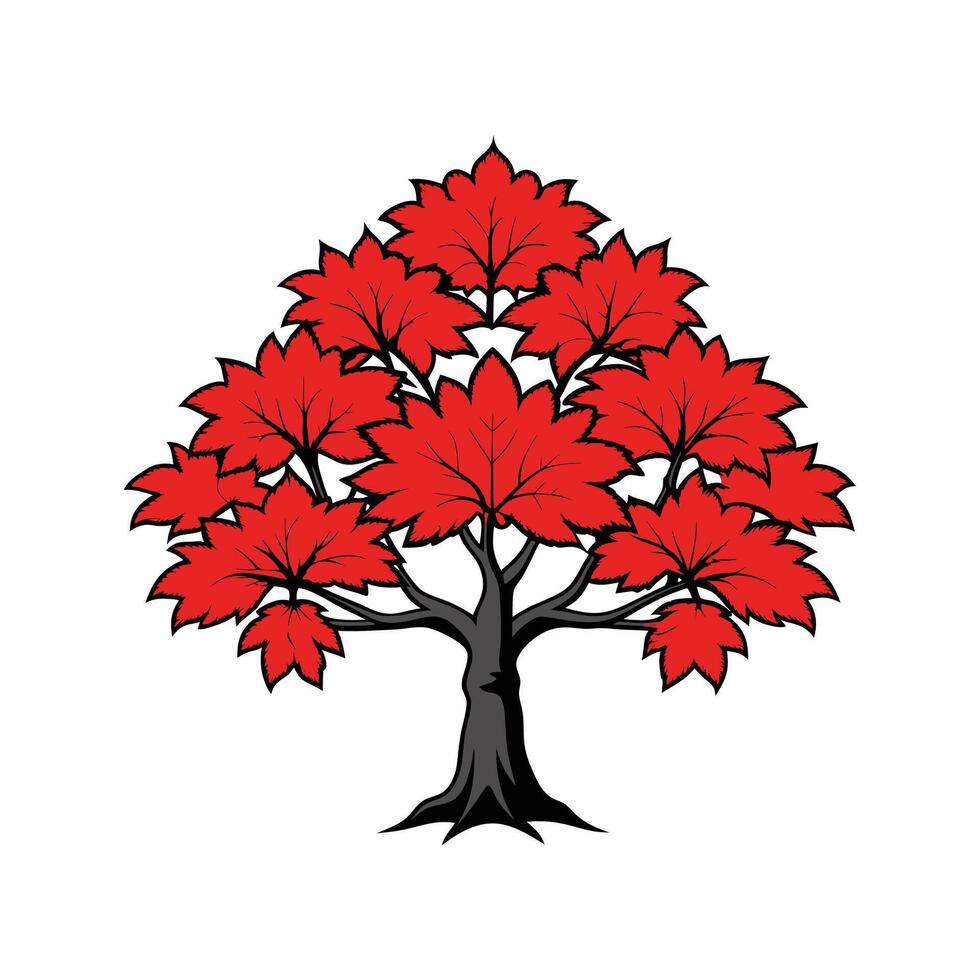 Stylish Japanese Maple Tree Illustration. Cartoon Art Tree Illustration. vector