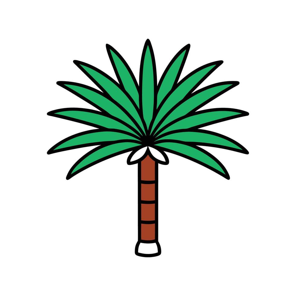 Mexican Fan Palm Tree Bold Outline. Cartoon Art Tree Illustration. vector
