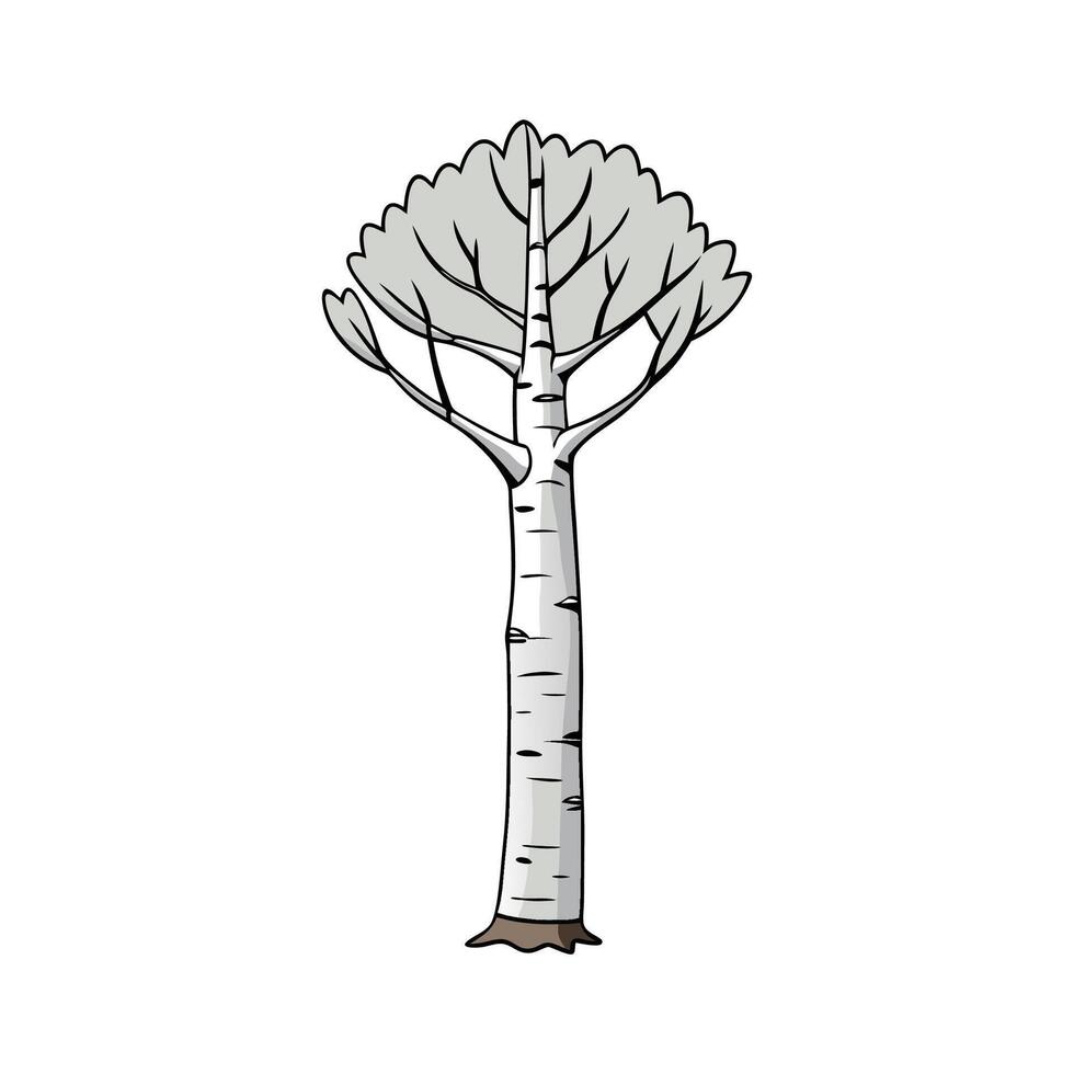 Graceful Silver Birch Tree Design. Cartoon Art Tree Illustration. vector
