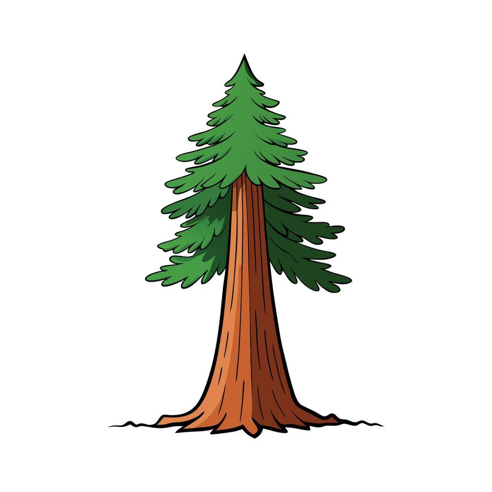 Vivid Sequoia Tree Artistic Design. Cartoon Art Tree Illustration. vector
