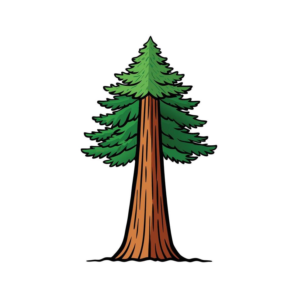 Charming Sequoia Tree Illustration. Cartoon Art Tree Illustration. vector