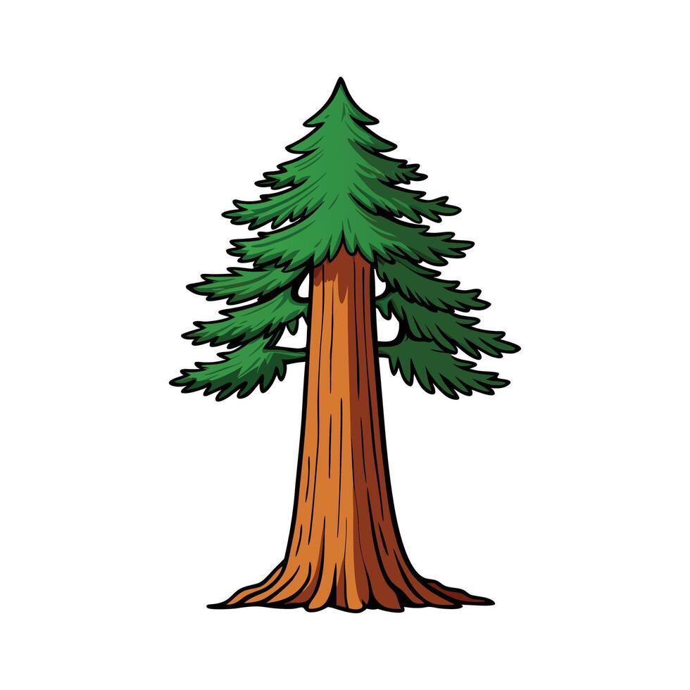 Stylized Sequoia Tree Illustration. Cartoon Art Tree Illustration. vector