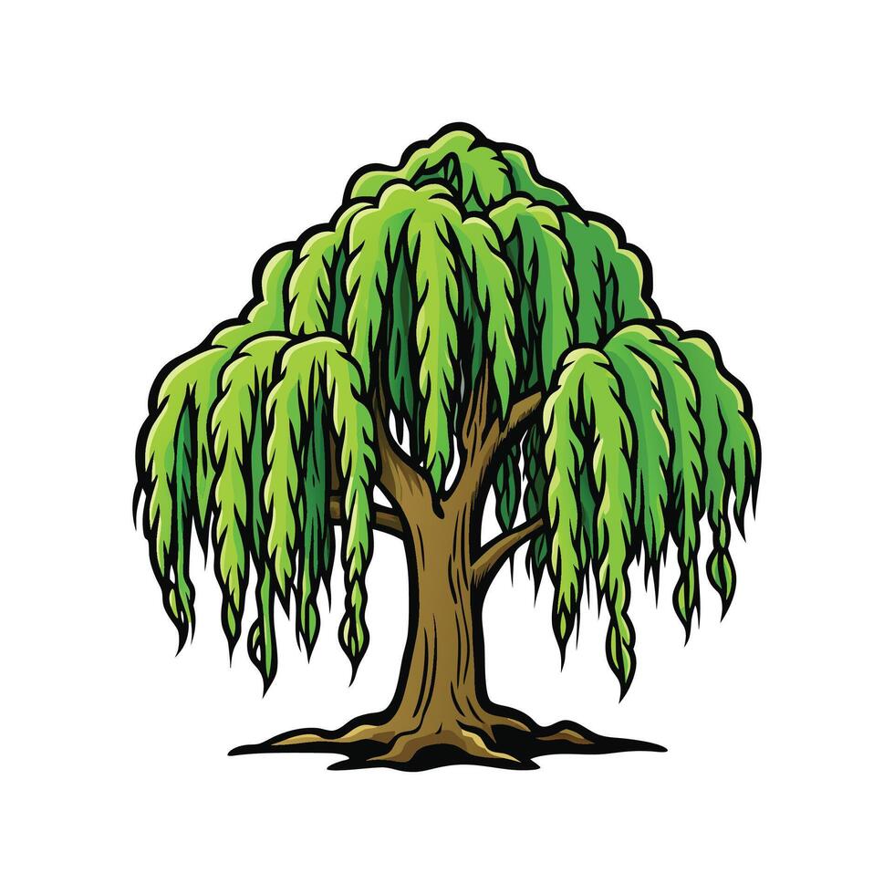 Weeping Willow Tree Artistic Design. Cartoon Art Tree Illustration. vector