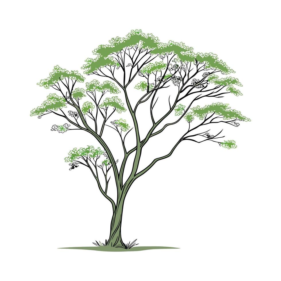 a tree with leaves and green leaves on it vector