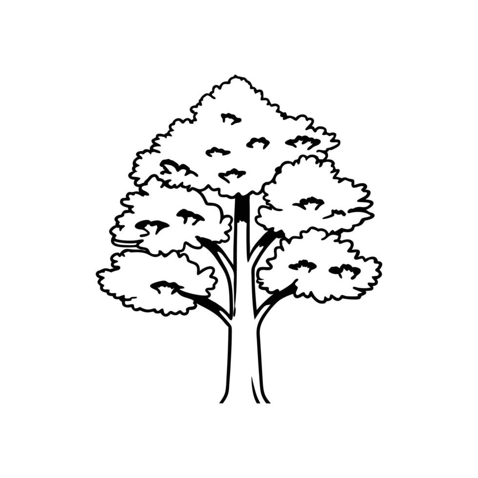 Charming White Mulberry Tree Illustration vector