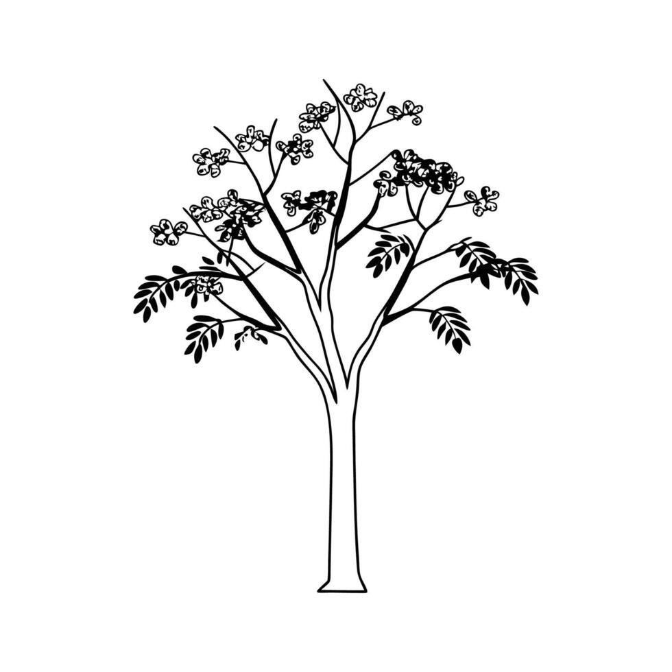 Vivid Yellow Elder Tree Design vector