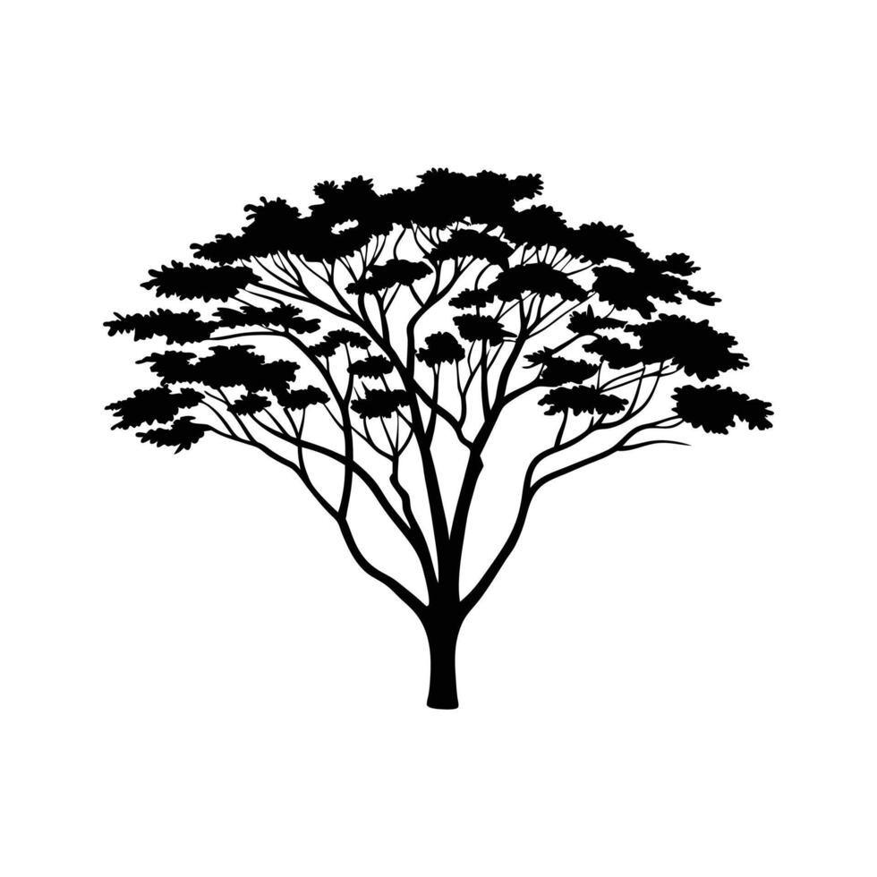 Stylized Acacia Tree Outline Illustration vector